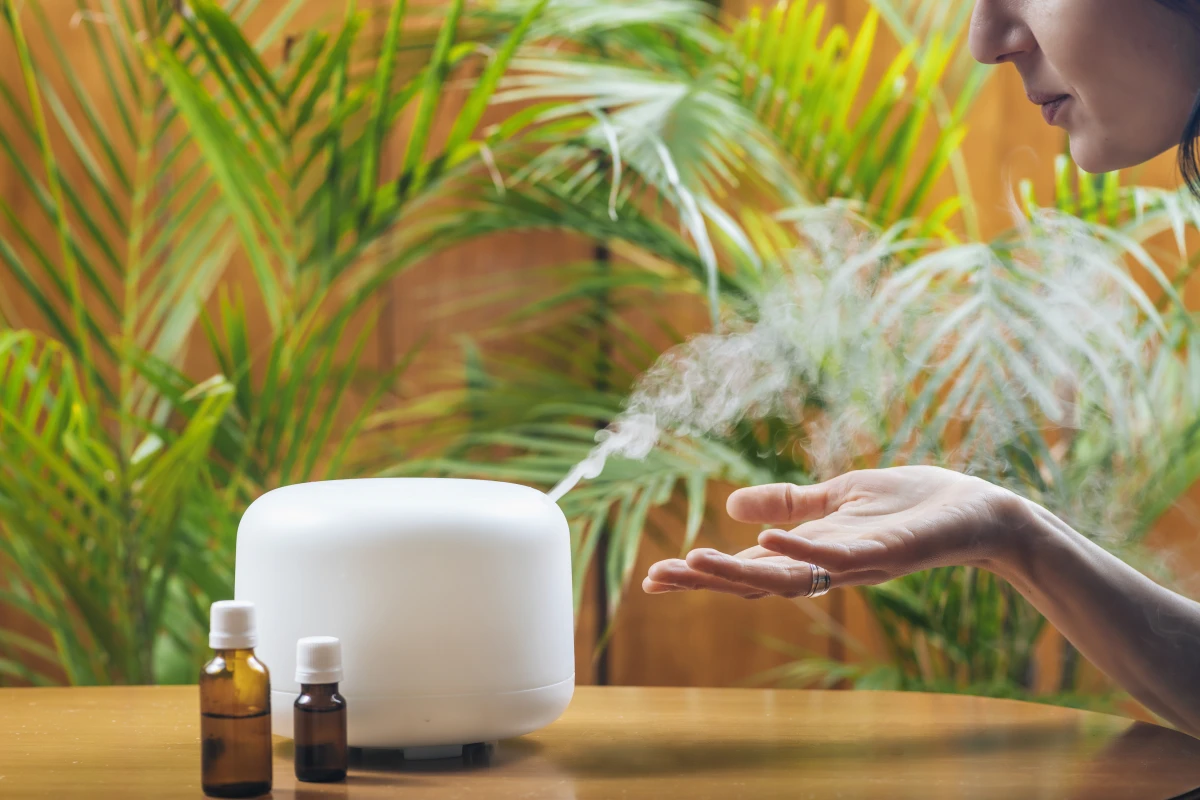 Humidité dans le logement : causes et traitements efficaces